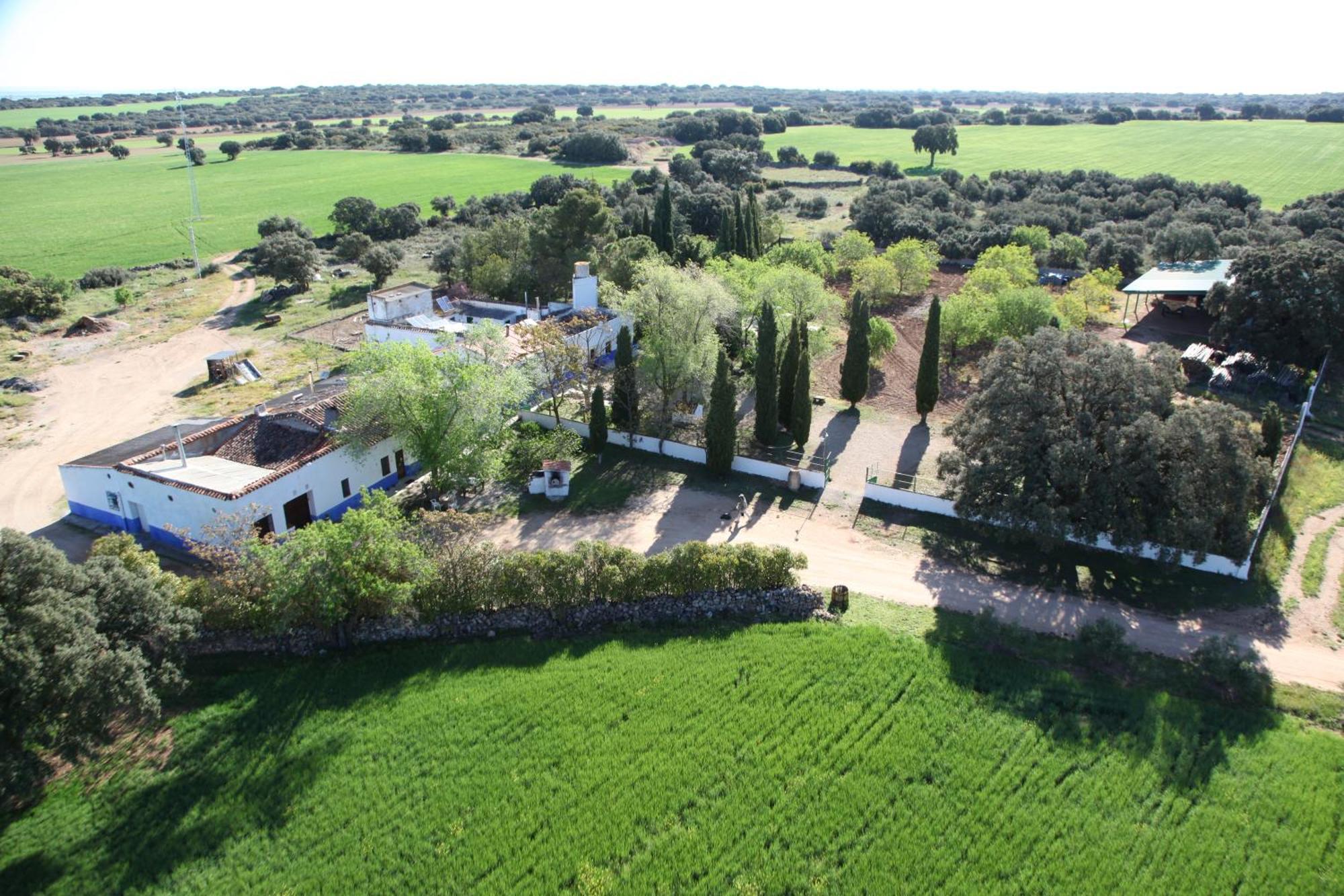 Agroturismo Calixto Villarrobledo Kültér fotó