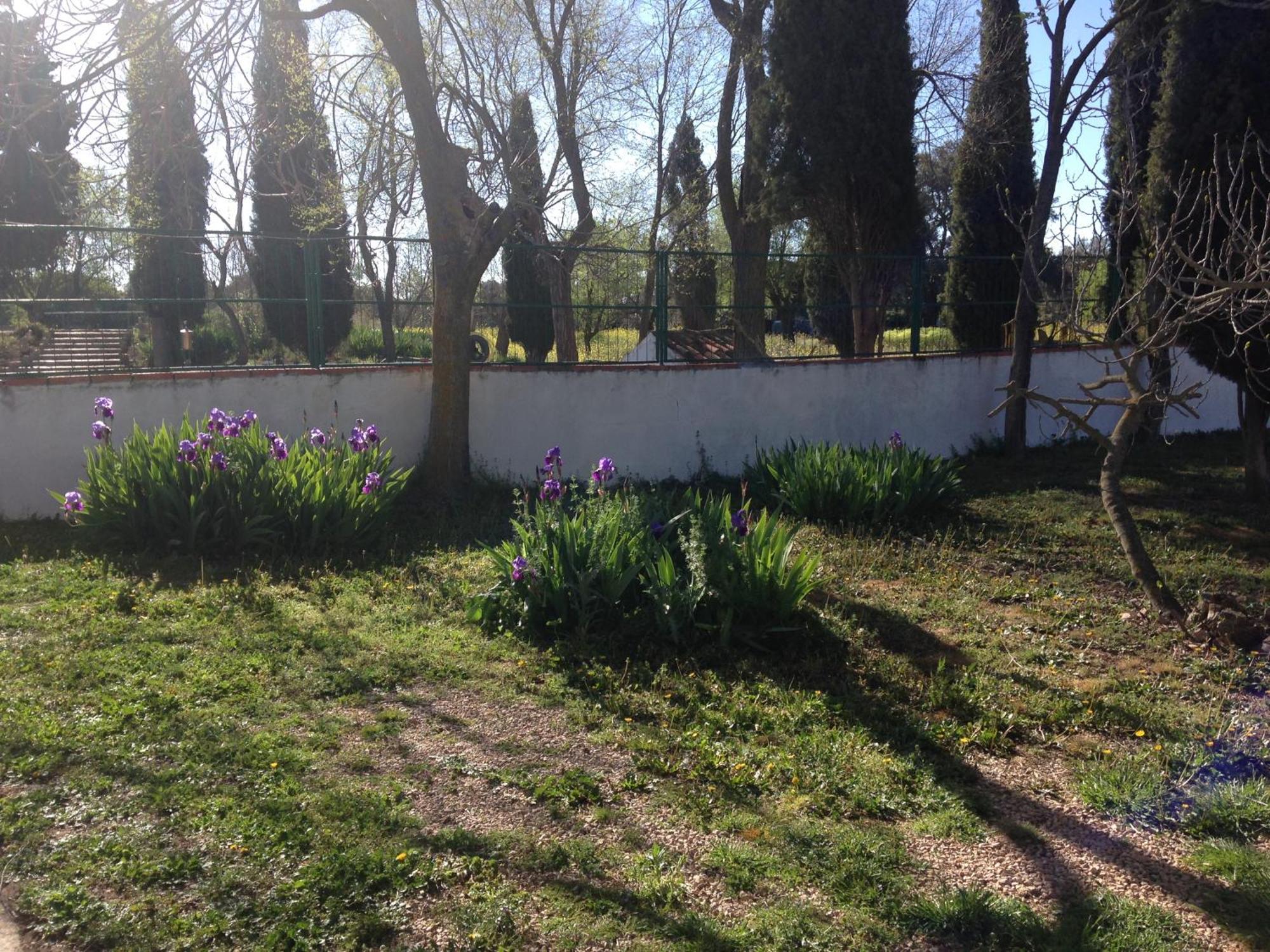 Agroturismo Calixto Villarrobledo Kültér fotó